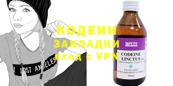 спиды Богородицк