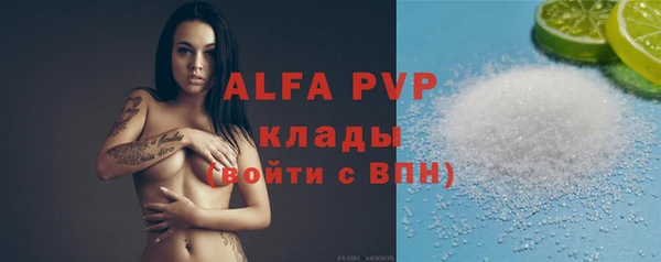 спиды Богородицк