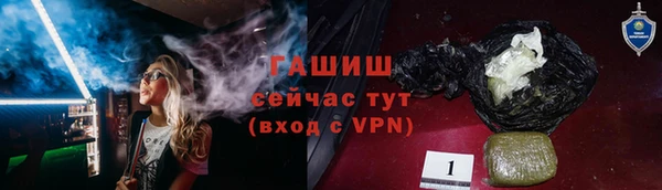 спиды Богородицк