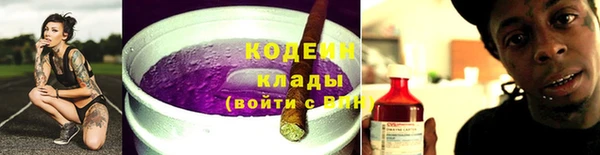 спиды Богородицк