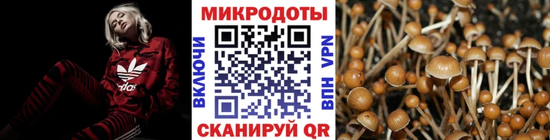 Псилоцибиновые грибы MAGIC MUSHROOMS  Верещагино 